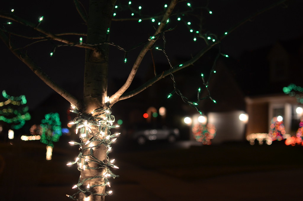 Outdoor Christmas Lights