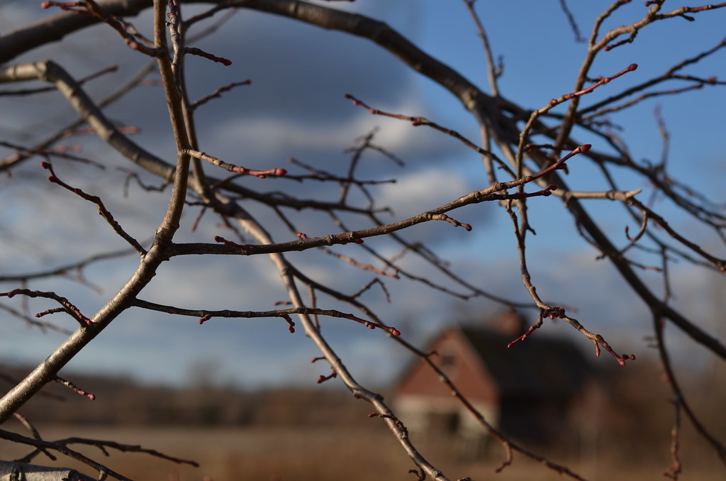 Old Barn 104