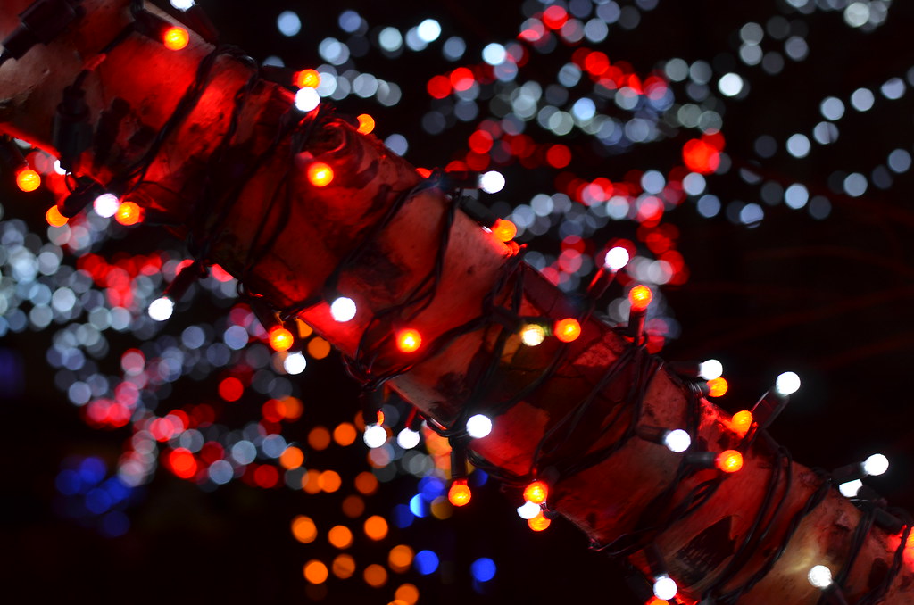 Christmas Lights at Brookfield Zoo 018