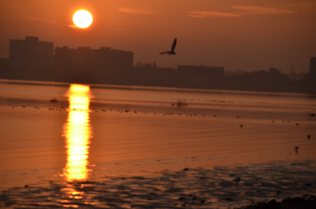 Sunrise Over San Francisco Bay 038
