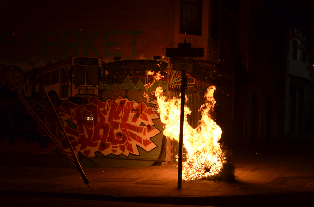 Tree on Fire
