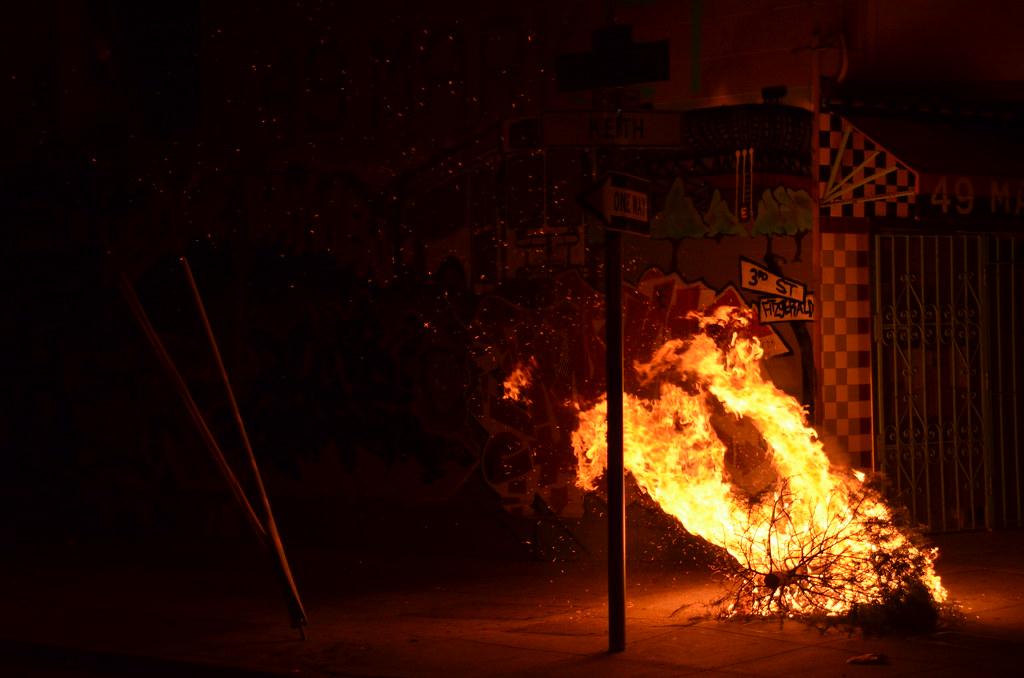 Burning Tree