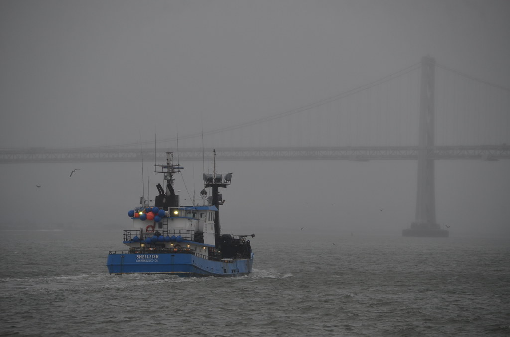 Alcatraz 345