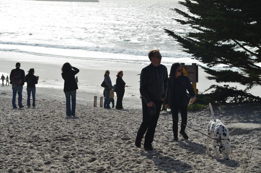 Carmel California 114
