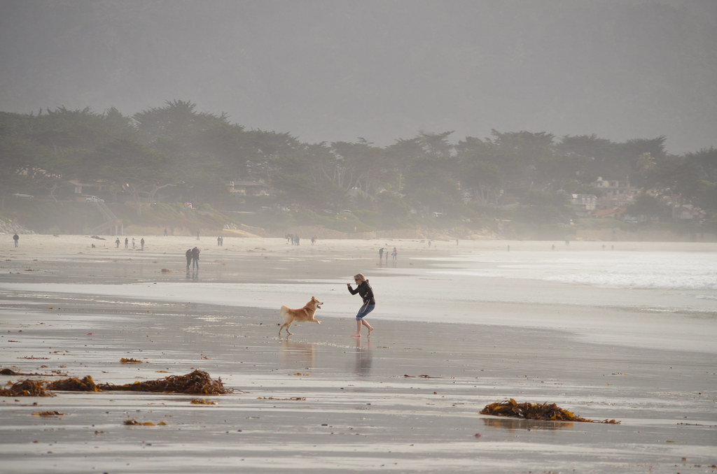 Carmel California 015