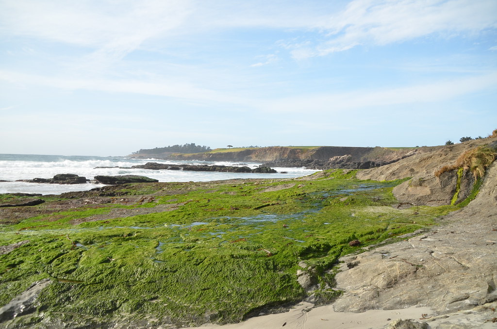 Carmel California 028