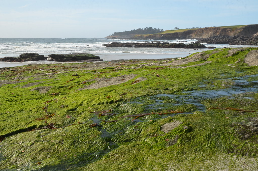 Carmel California 029
