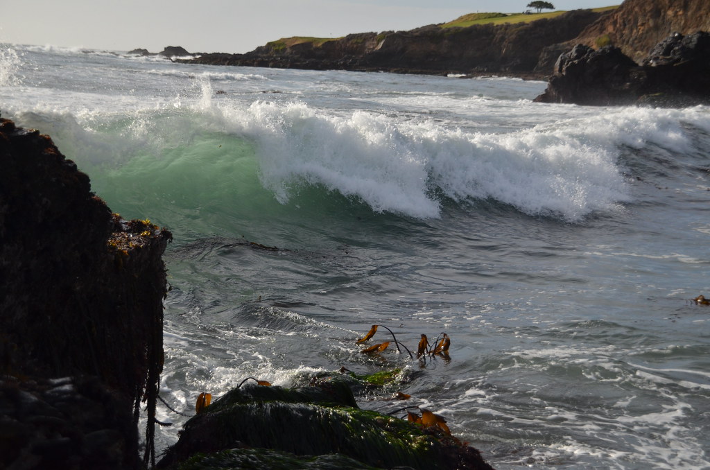 Carmel California 047