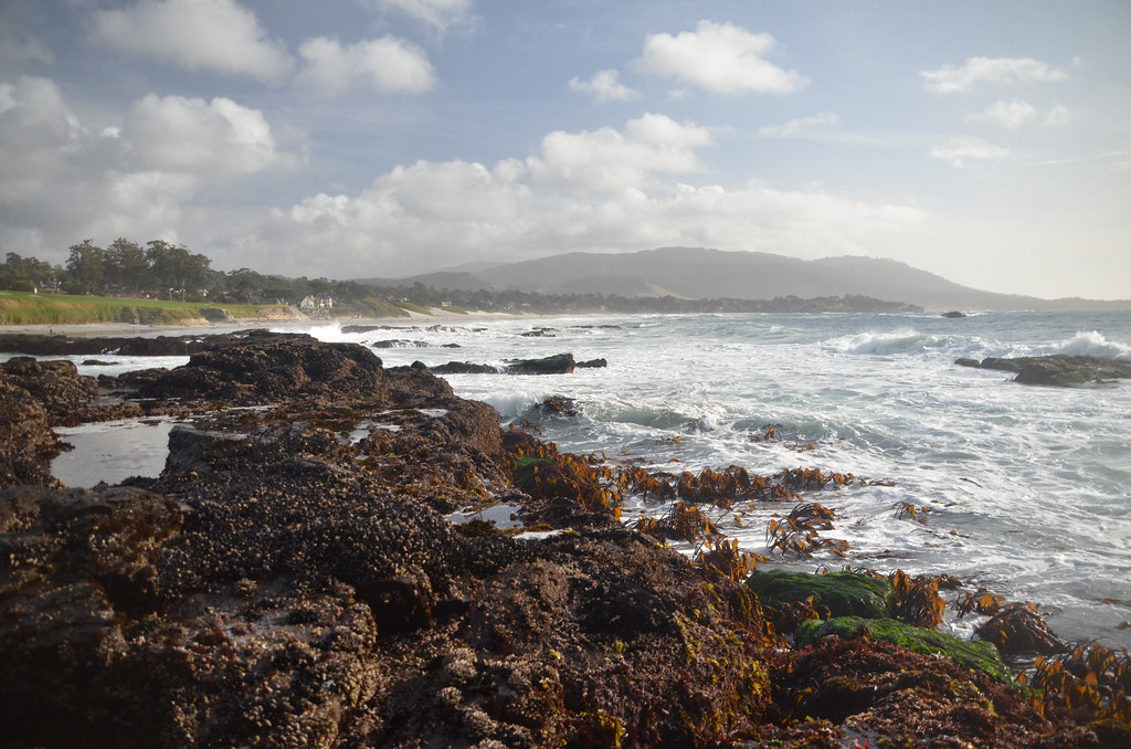 Carmel California 169