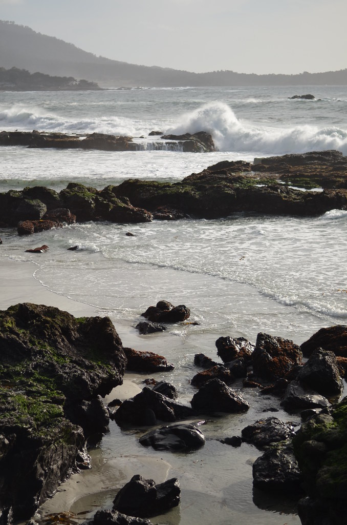 Carmel California 206