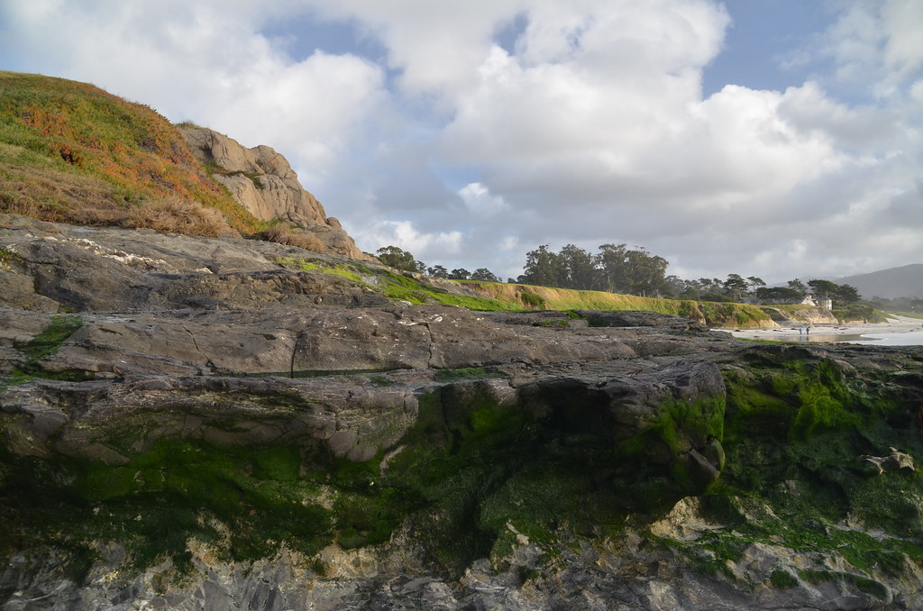 Carmel California 214
