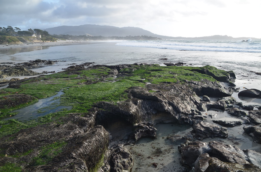 Carmel California 219