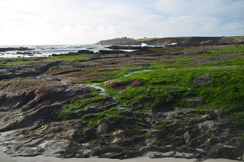 Carmel California 221