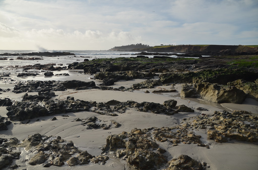 Carmel California 223