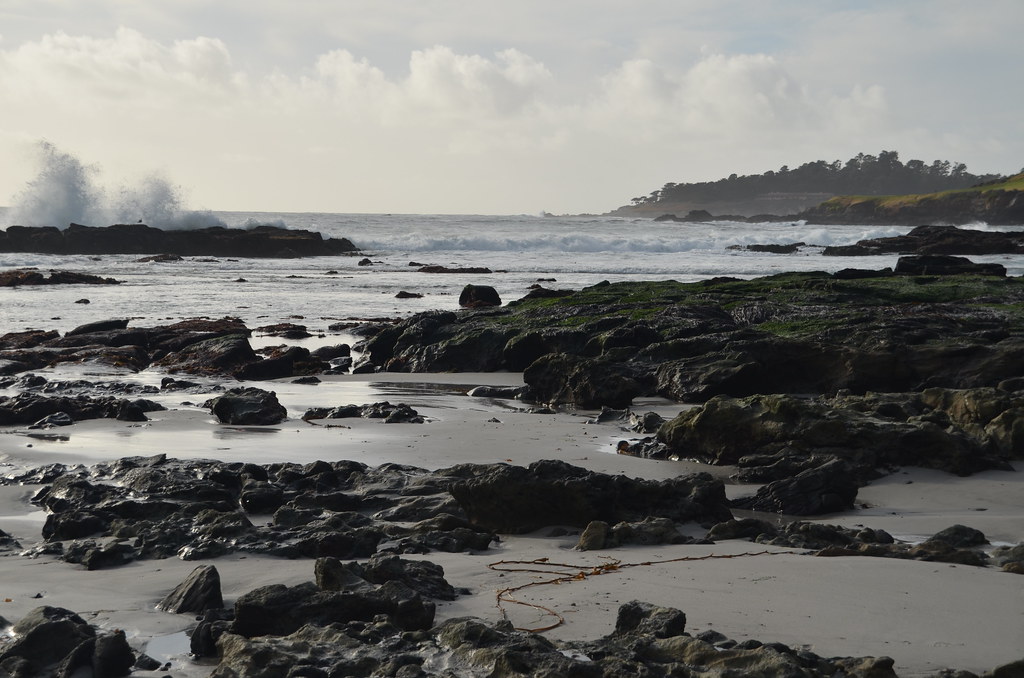 Carmel California 224