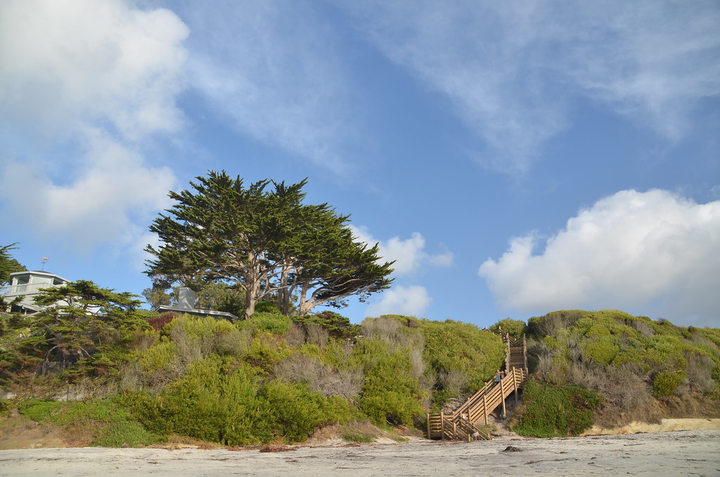 Carmel California 242