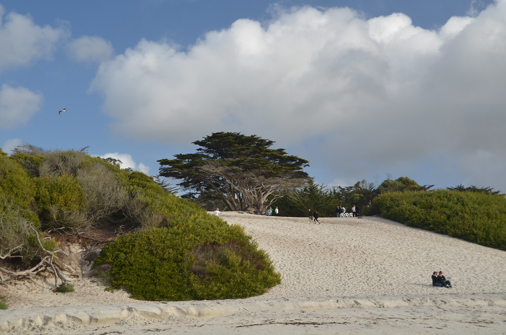 Carmel California 243
