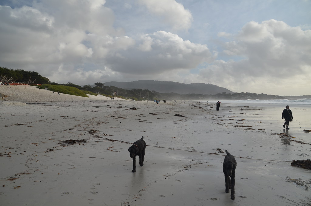 Carmel California 246