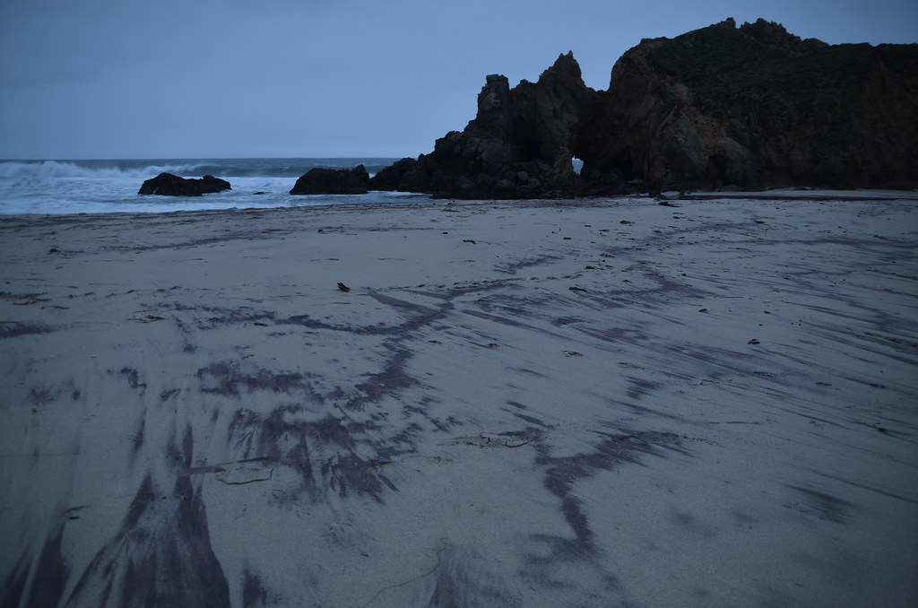 California Highway One 505