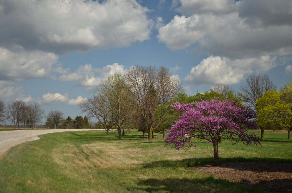 Fermi National Accelerator Laboratory 257