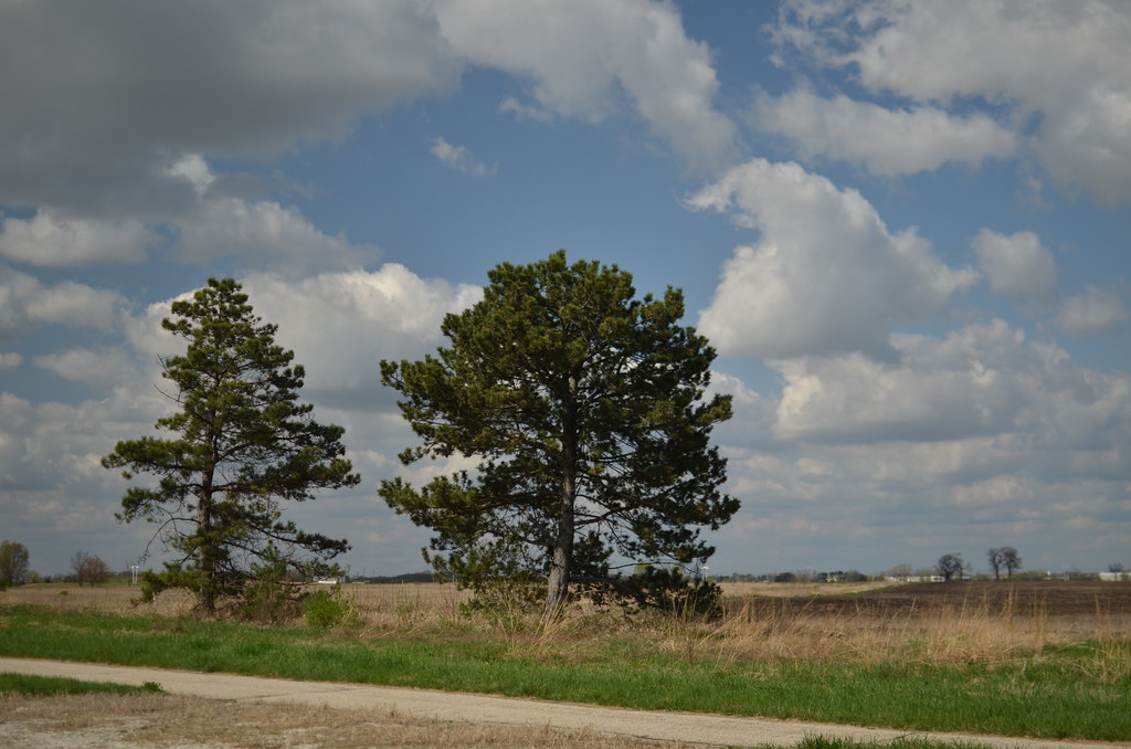Fermi National Accelerator Laboratory 272