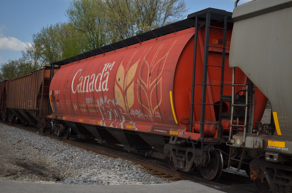 Freight Train Car Graffiti