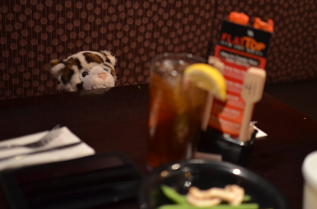 Flat Top Grill 102