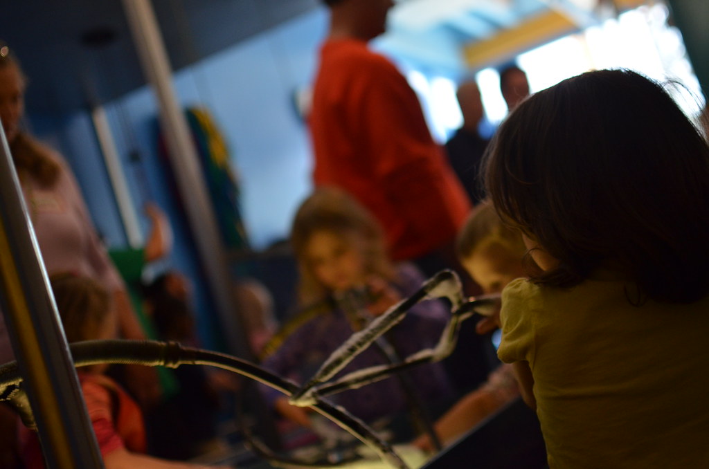 DuPage Children’s Museum 192
