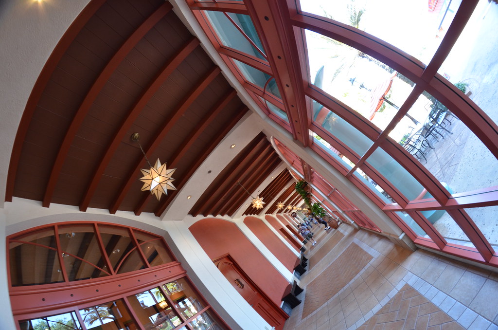 Trip to Disney World 154