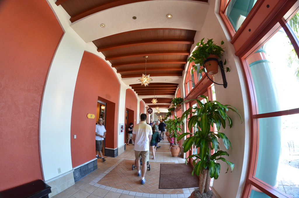 Trip to Disney World 155