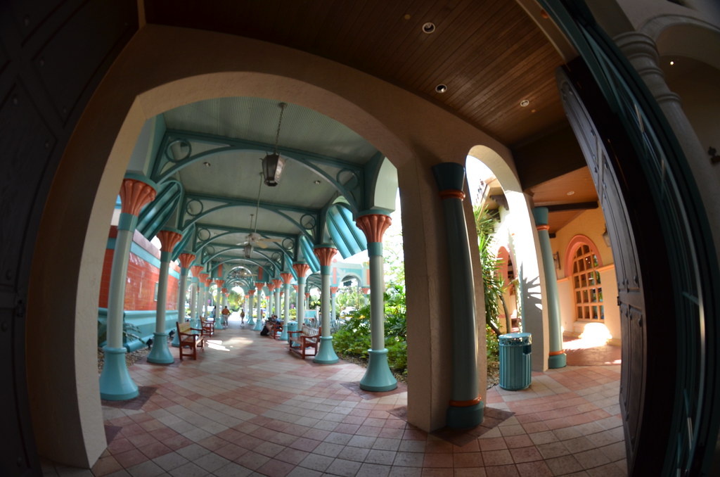 Trip to Disney World 162