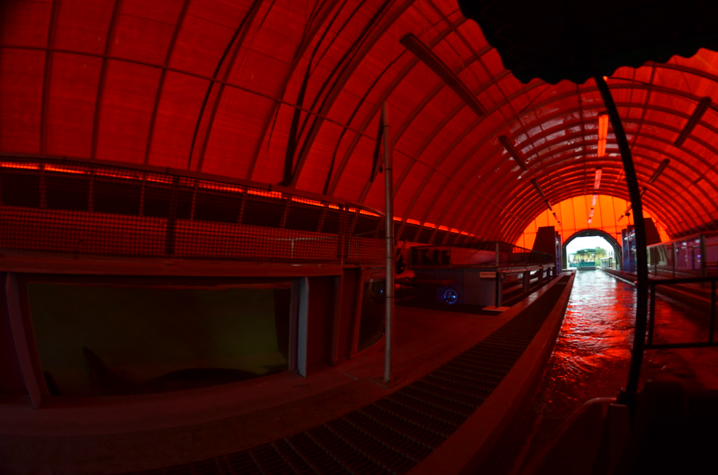 Epcot 764