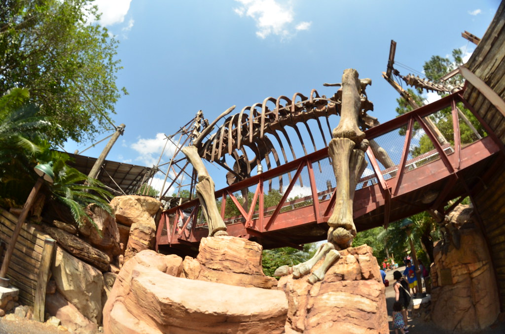 Disney’s Animal Kingdom 147