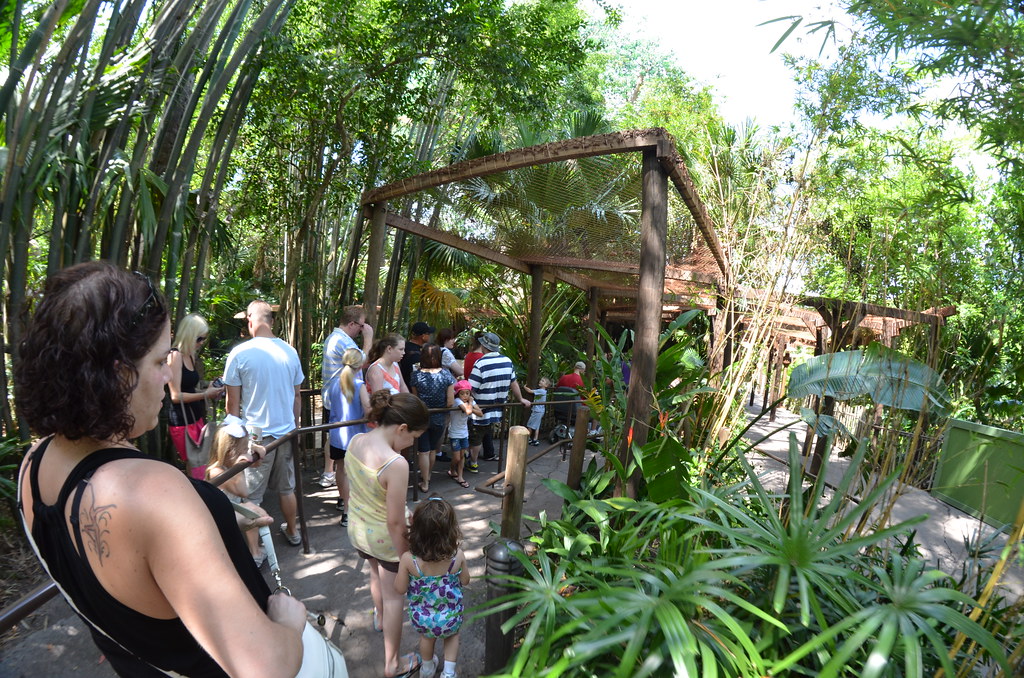 Disney’s Animal Kingdom 163