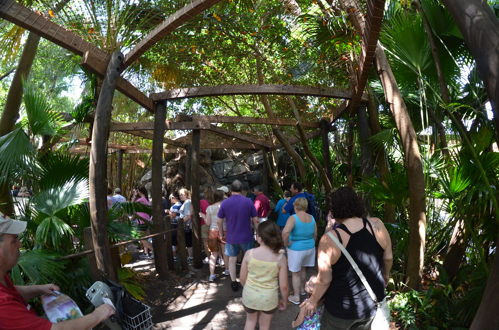 Disney’s Animal Kingdom 164