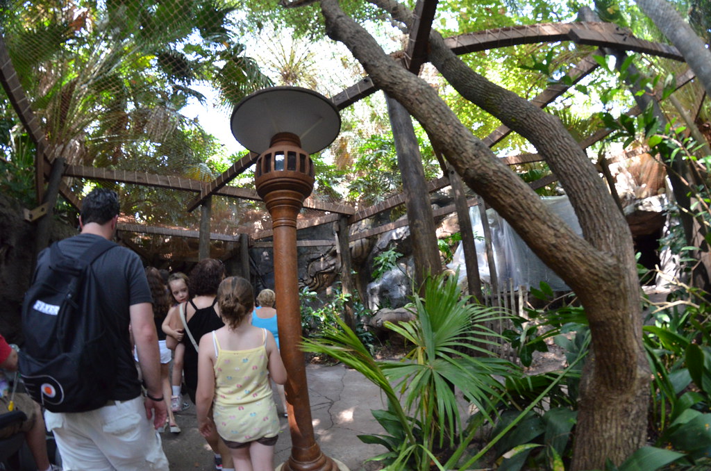 Disney’s Animal Kingdom 167