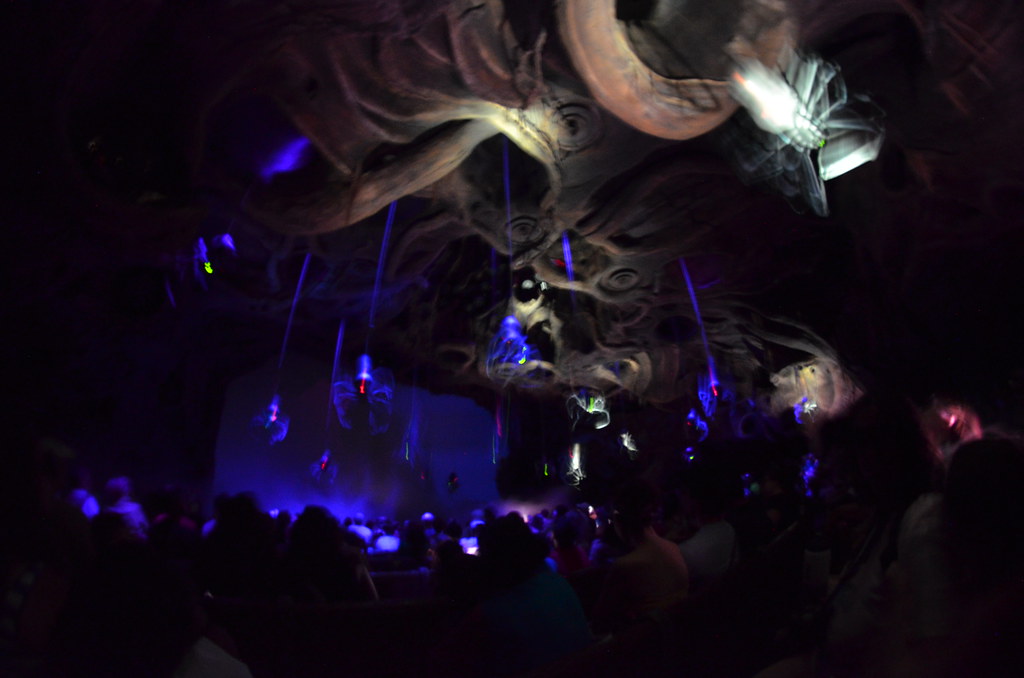 Disney’s Animal Kingdom 193