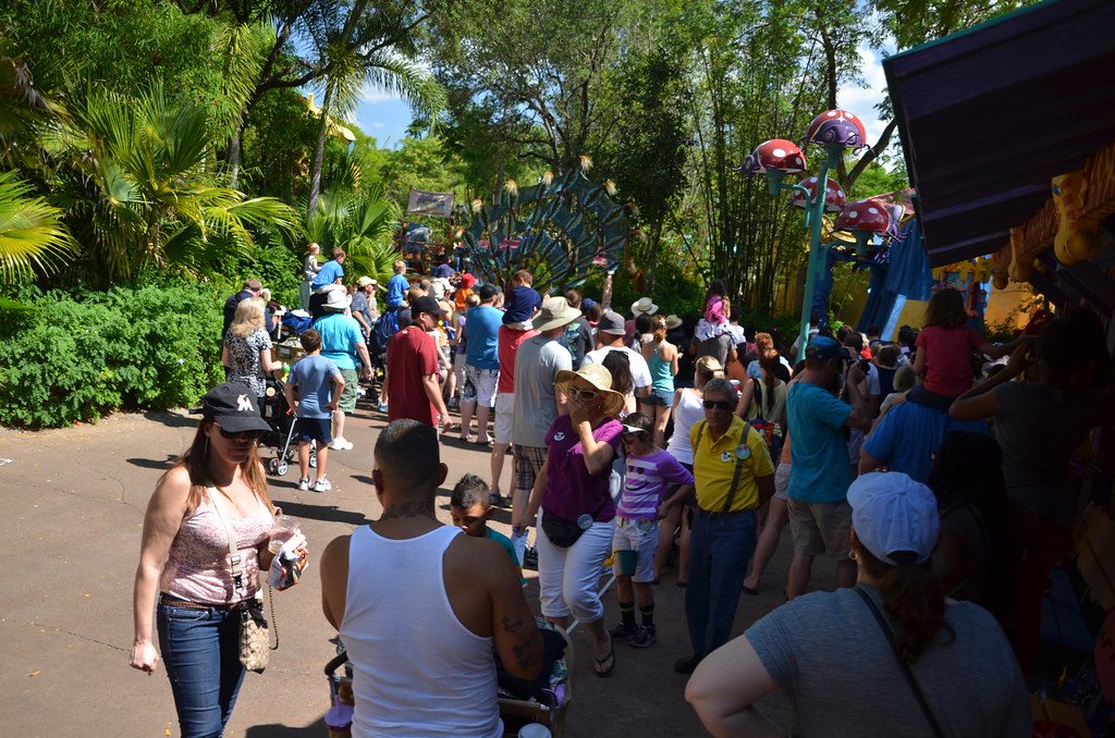 Disney’s Animal Kingdom 581