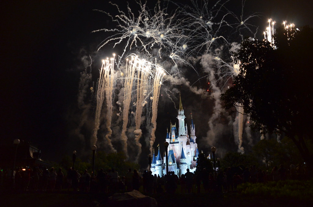 Magic Kingdom 307