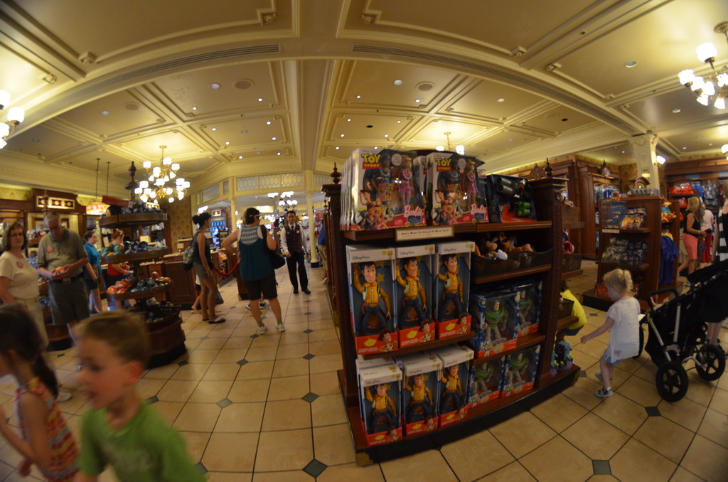 Disney’s Magic Kingdom 556