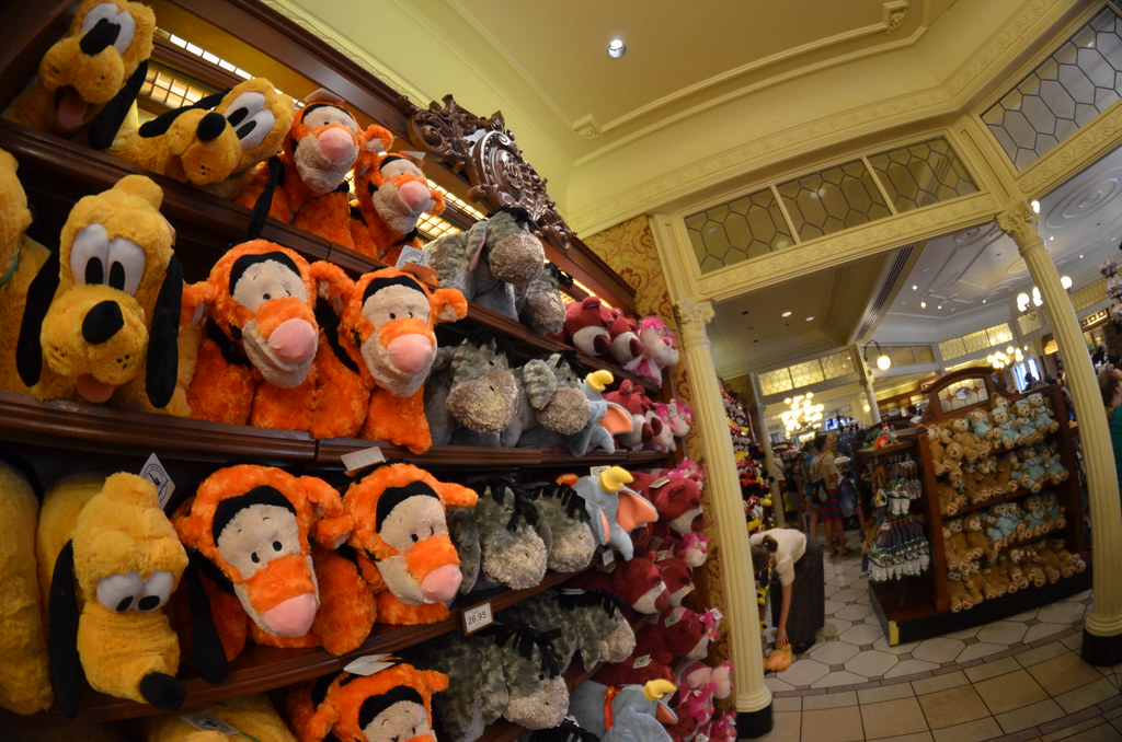 Disney’s Magic Kingdom 567