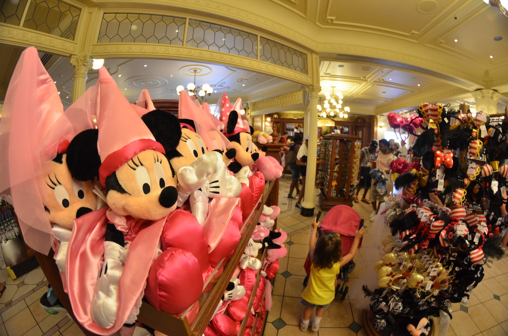 Disney’s Magic Kingdom 574