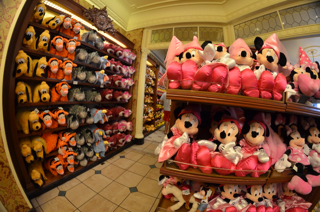 Disney’s Magic Kingdom 577