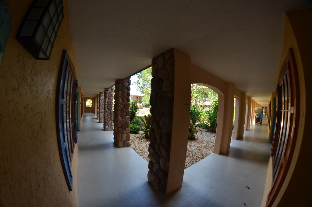 Trip to Disney World 167