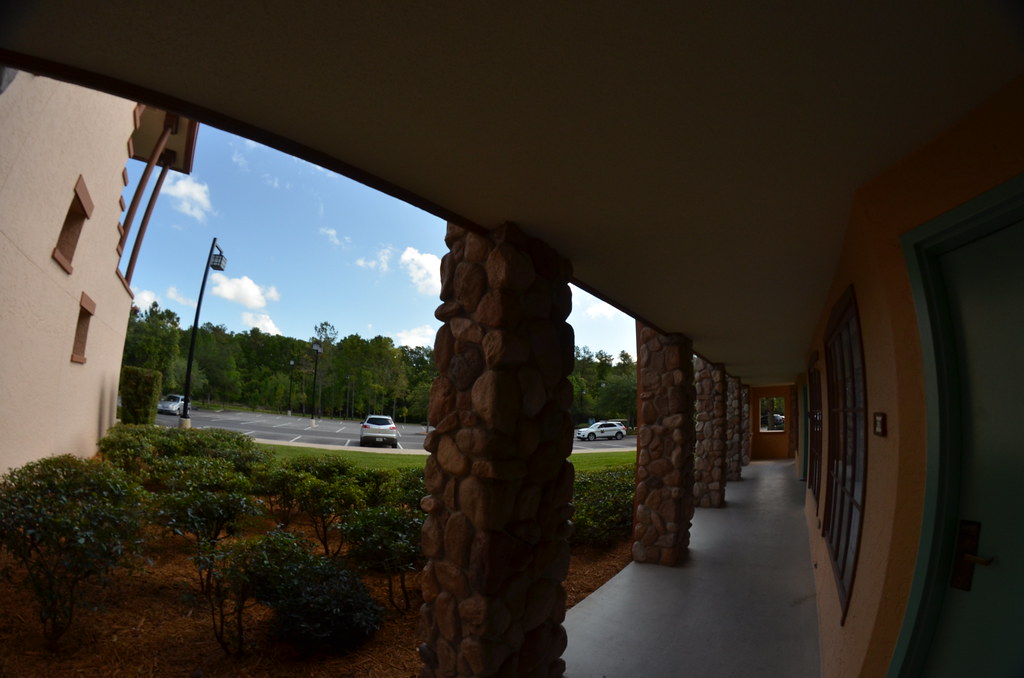Trip to Disney World 171