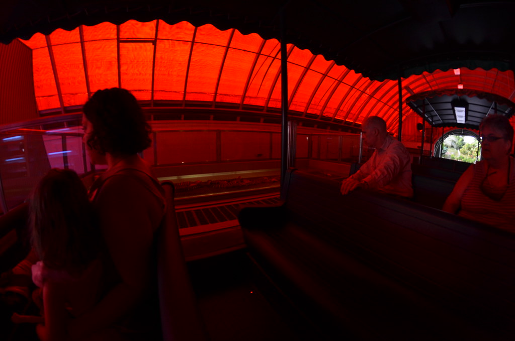Epcot 767