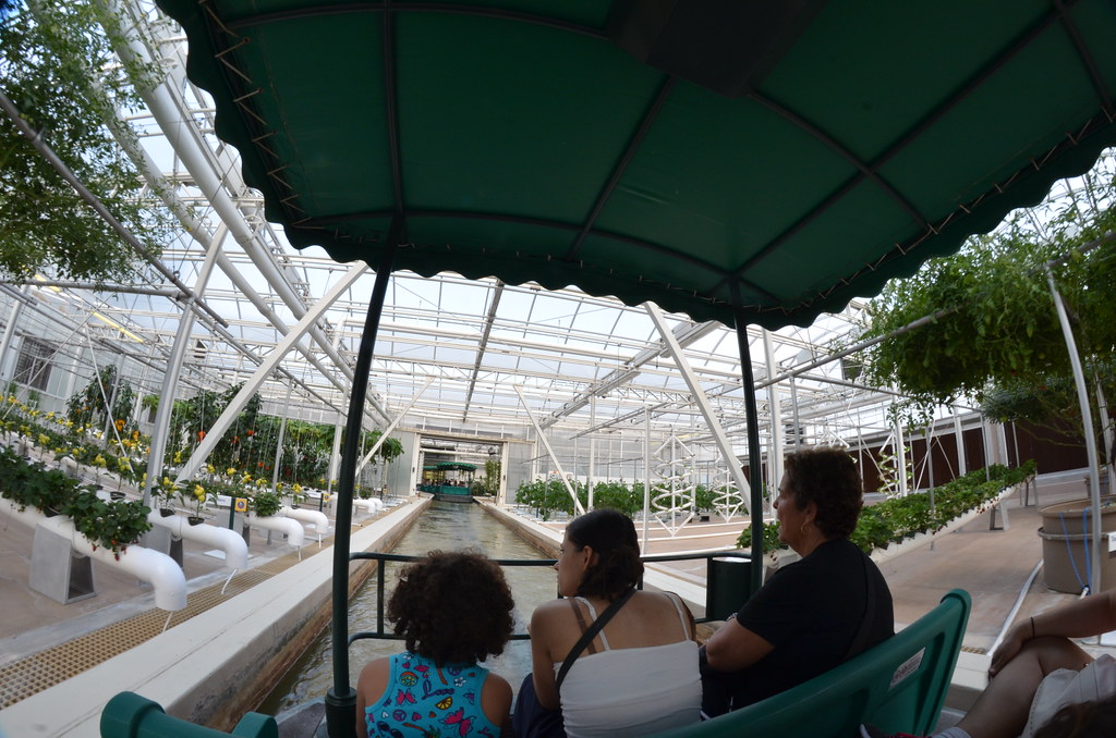 Epcot 776