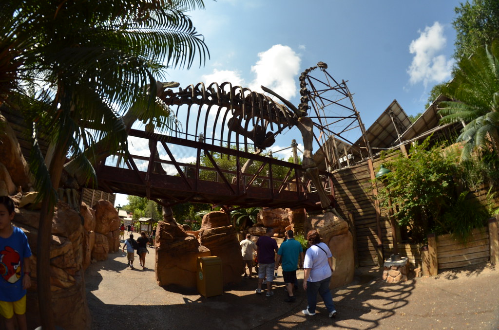 Disney’s Animal Kingdom 149