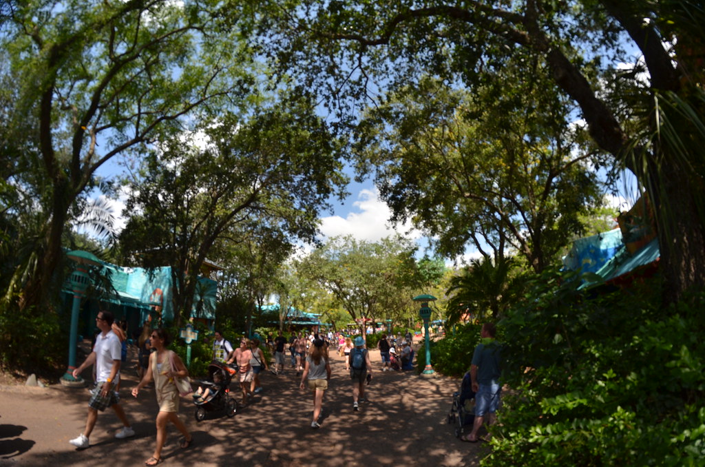 Disney’s Animal Kingdom 154