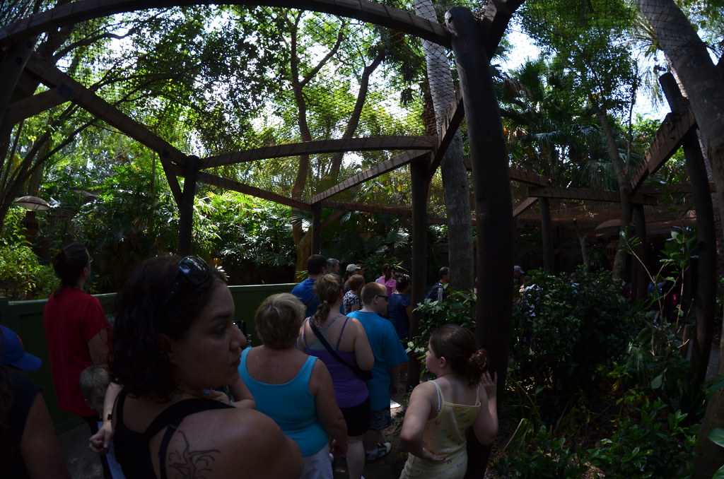 Disney’s Animal Kingdom 165